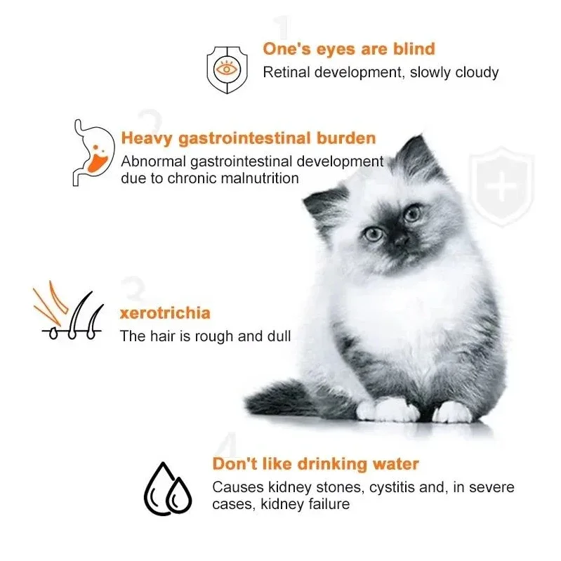 10pcs Cat Strips Pet Snacks Va - مراجعة Snacks Food Labels وسعره