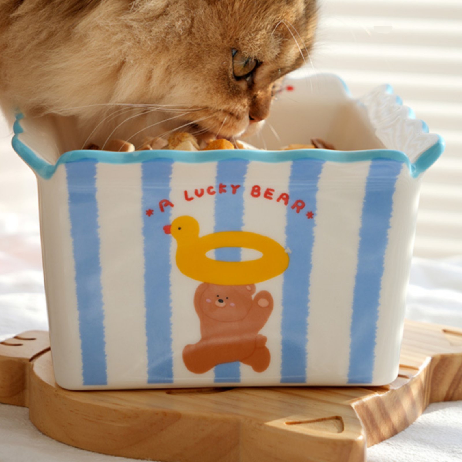 Snack Box Design Cat Bowl Easy - مراجعة Food Snacks Easy وسعره