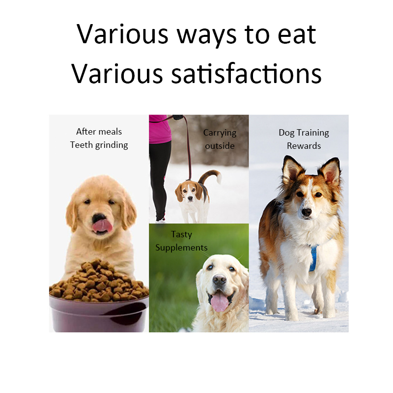 Dog Snacks Teething Stick 120g - مراجعة Food Snacks Easy وسعره