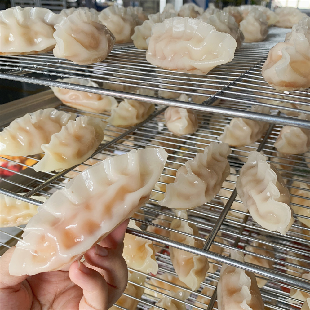 Steamed Dumpling with Meat Veg - مراجعة Food Snacks Order وسعره