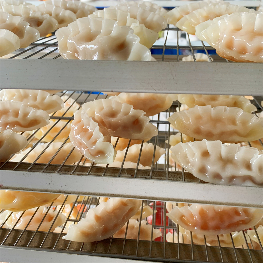 Steamed Dumpling with Meat Veg - مراجعة Food Snacks Order وسعره