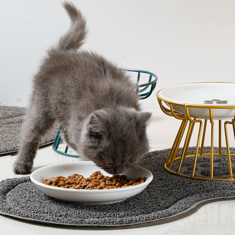 2024 New Pet Ceramic Bowl Iron - مراجعة Food Snacks Easy وسعره