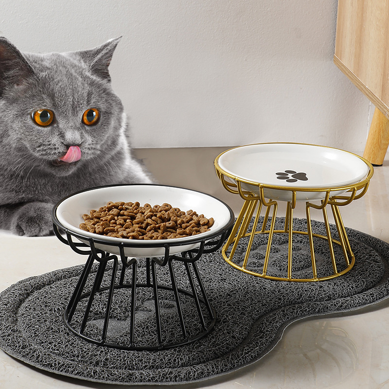 2024 New Pet Ceramic Bowl Iron - مراجعة Food Snacks Easy وسعره