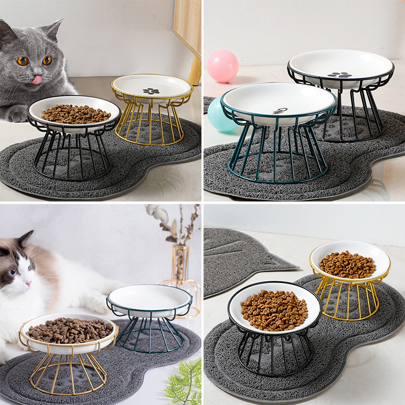 2024 New Pet Ceramic Bowl Iron - مراجعة Food Snacks Easy وسعره