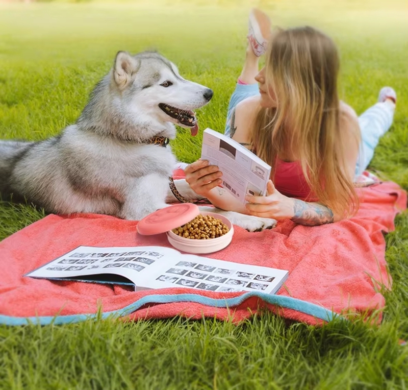 11/14cm2-in-1 Travel Dog Bowl  - مراجعة Food Snacks For Camping وسعره